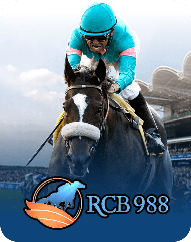 U2 Sports game 1